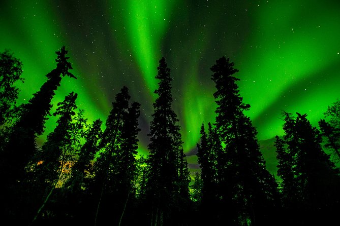 Northern Lights Tours - Tour Schedule and Availability