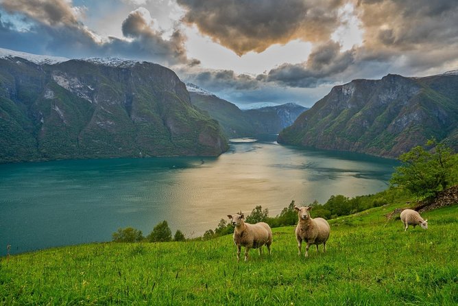Norway: Voss and Gundvagen Private Tour  - Bergen - Included Tour Amenities