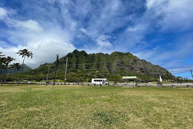 Oahu Allstar Circle Island Tour: Dole, Turtles. Blowhole, Fun - Meeting and Accessibility