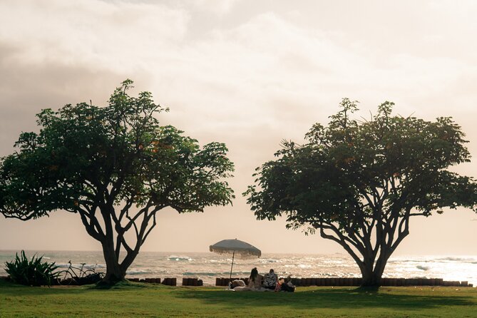 Oahu Beach Picnic: Private, Luxury Experience - Menu and Beverage Options