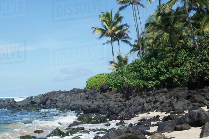 OAHU GRAND CIRCLE Waimea Waterfall, Turtle Beach, North Shore. - Highlights of the Itinerary