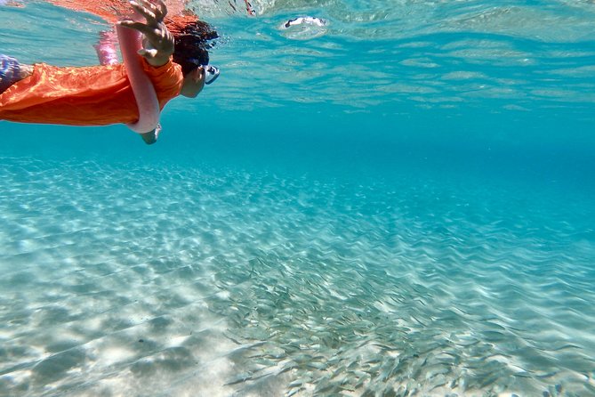 Oahu Personalized Private North Shore Highlight Custom Tour - Pricing Details