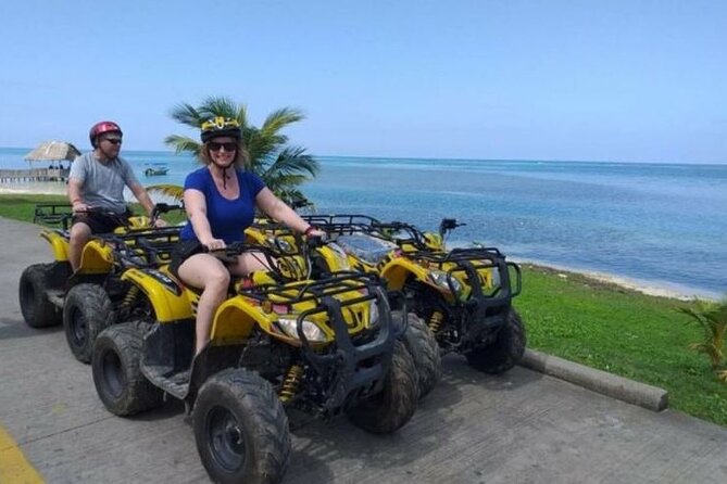 Occidental Caribe - Round Trip Shuttle - Punta Cana Airport - Shuttle Vehicle Features