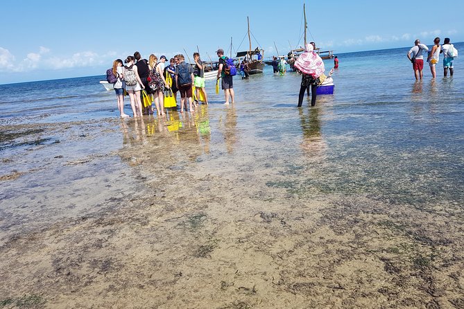 Ocean Safari Tour - Booking Information