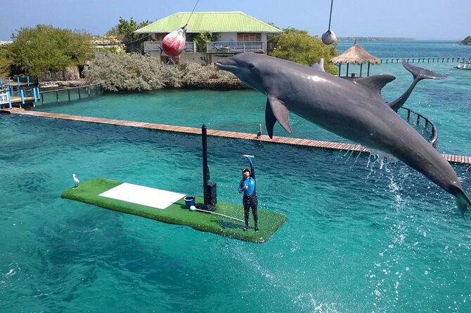 Oceanarium Tour With Quiet Beach And Plankton - Facilities and Amenities