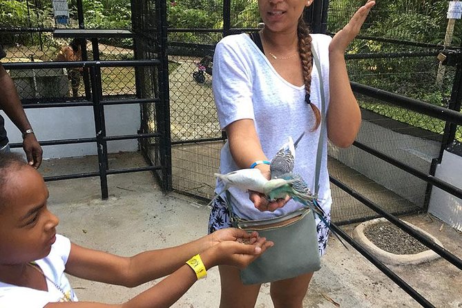 Ocho Rios Highlight & Blue Hole - Full Day Tour - Group Suitability