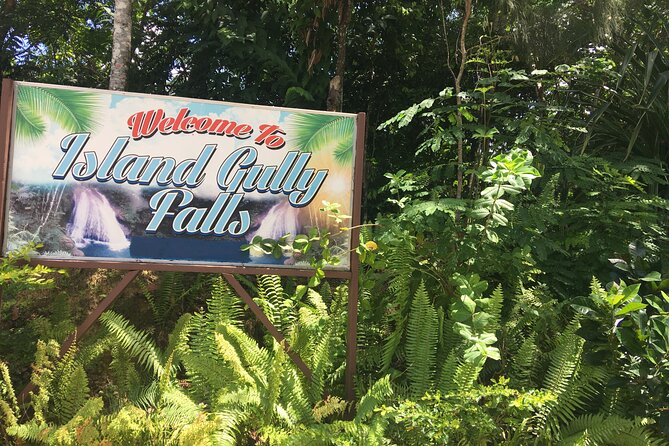 Ocho Rios/Private Tour to Famous Blue Hole and Local Farm in the Countryside - Schedule and Availability