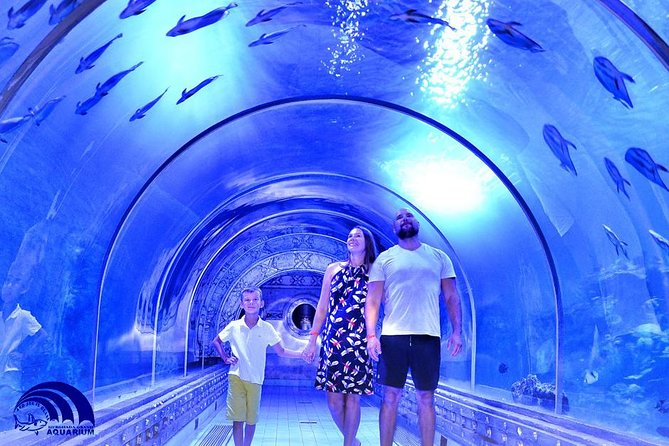 Official Account: Hurghada Grand Aquarium Entrance Tickets - Visitor Experiences and Ratings