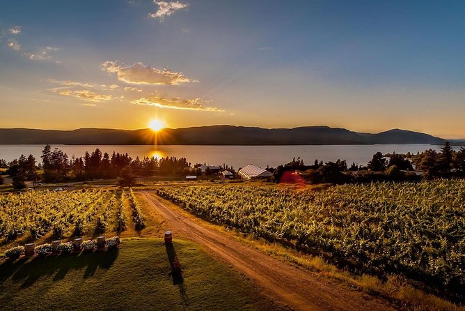 Okanagan Deluxe Wine Toasting Tour - Winery Experiences