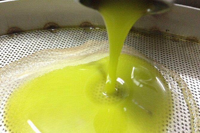 Olive Oil Mill Experience and Tasting in Salento With Guide - Tasting and Pairing