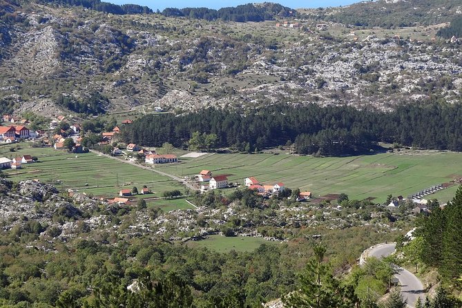 Olive Oil Tour With Tasting Wine & Traditional Food - Inclusions