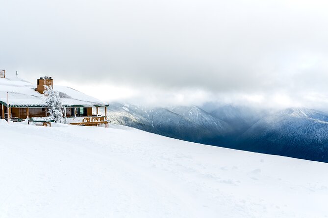 Olympic National Park Self-Guided Driving Audio Tour - Tour Experience and Itinerary