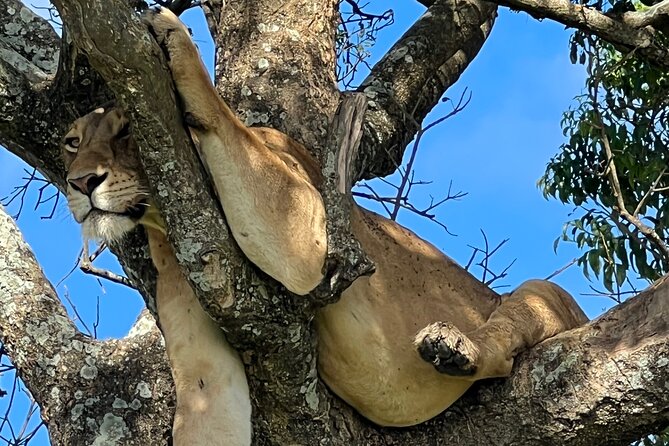 One Day Akagera Safari From Kigali - Diverse Landscapes
