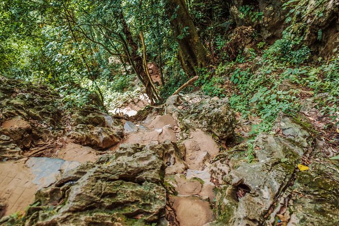 One Day Guided Tour: Kayaking, Zipline & Tubing in the Cave From Vang Vieng - Exciting Activities Included