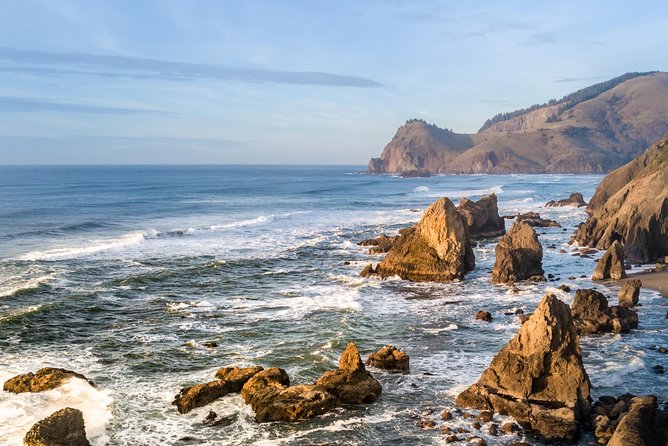 Oregon Coast Sightseeing Tour - Transportation and Comfort