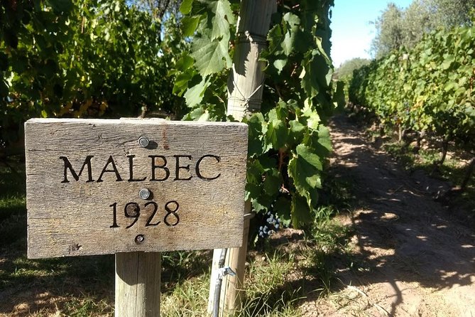 Organic & Bio – Sustainable Wineries - Sustainability Initiatives