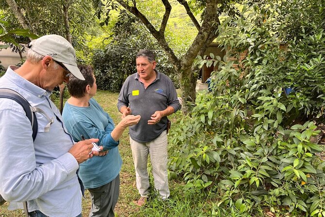 Organic Coffee Farm Tour - Meeting and Travel Details