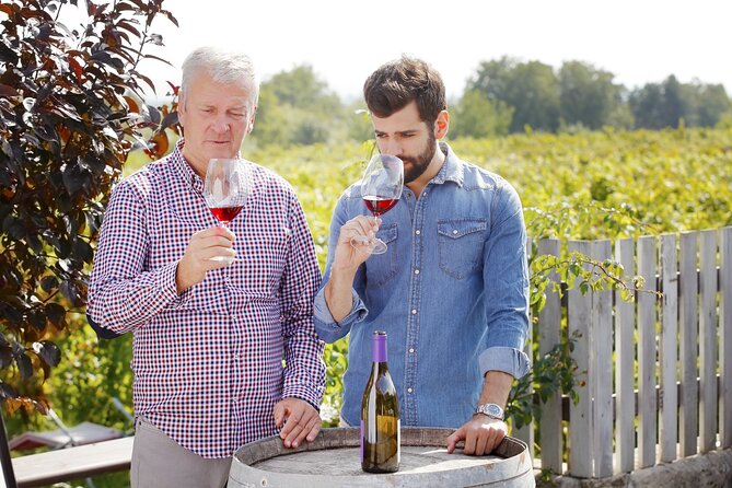 Organic Wine Tasting in Kefalonia - The Sum Up