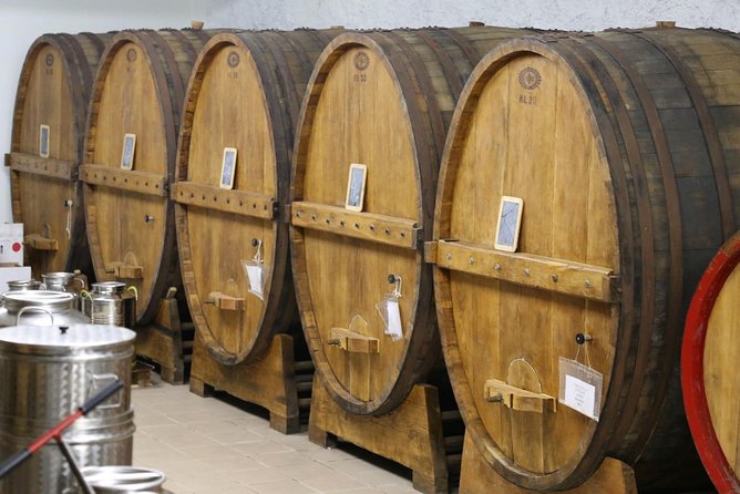 Organic Winery Tour With Full Lunch From Assisi - Exploring the Vineyards