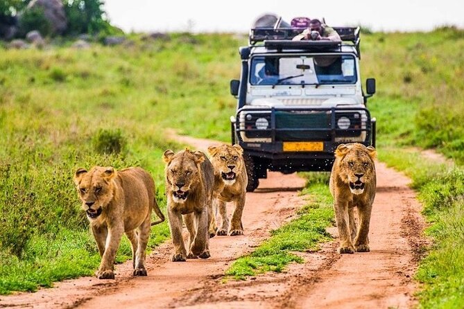 Outstanding Day Trip to Tarangire National Park - Whats Included