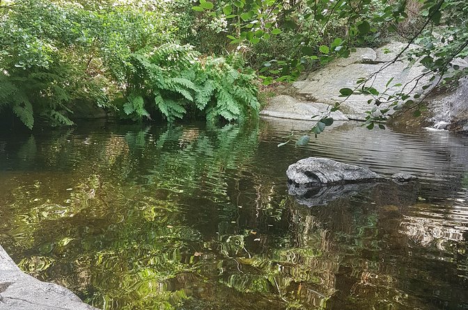 Over Water and Bird Songs - Uncovering Local Insights