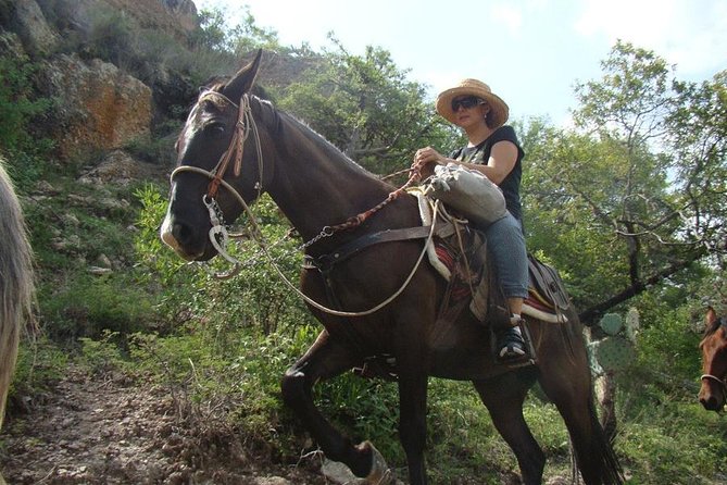 Overnight Horseback Riding Adventure - Accommodation and Meals