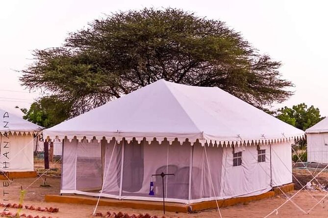 Package Tour for Rajasthan - Pickup and Meeting Experience