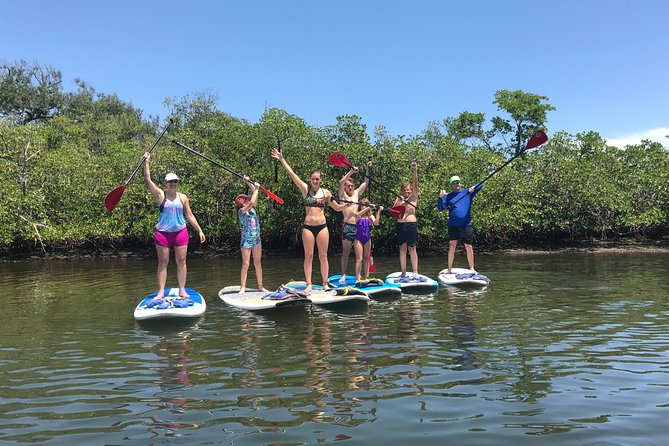 Paddle Boarding Rentals - Accessibility and Recommendations
