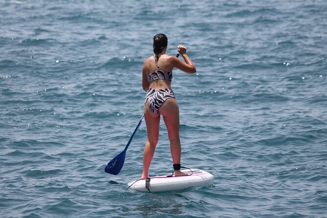 Paddle Surf - Meeting and Pickup