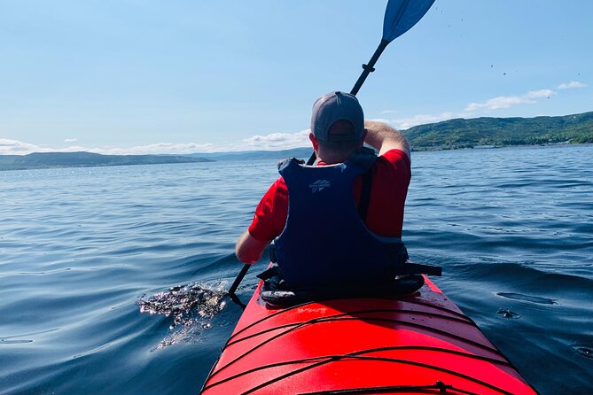 Paddle the Bay of Islands: 2 Hours Guided Kayak Experience - What to Expect
