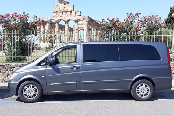 Paestum Park and Bufalo Farm Day Tour From Sorrento - Inclusions and Costs