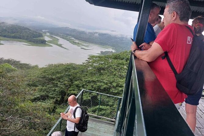 Panama Eco Adventure: Gatun Lake, Aerial Tram & Sloth Sanctuary - Aerial Tram Ride Above Treetops