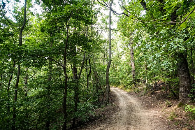Panoramic Hike Around Budapest - Pickup and Meeting Details