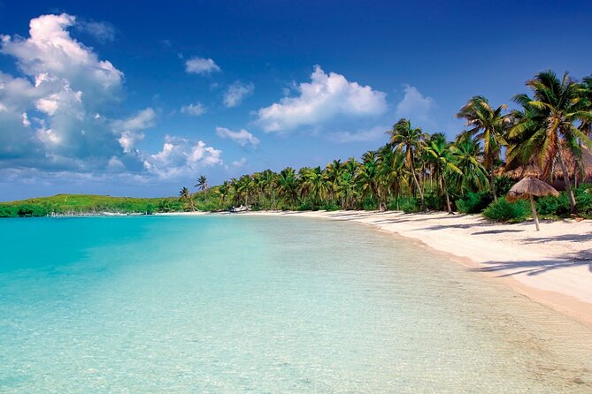 Paradise Islands Tour: Isla Contoy and Isla Mujeres - Inclusions
