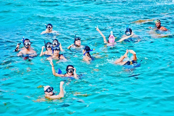 Parasailing With Catamaran Booze Cruise and Snorkeling - Inclusions and Exclusions
