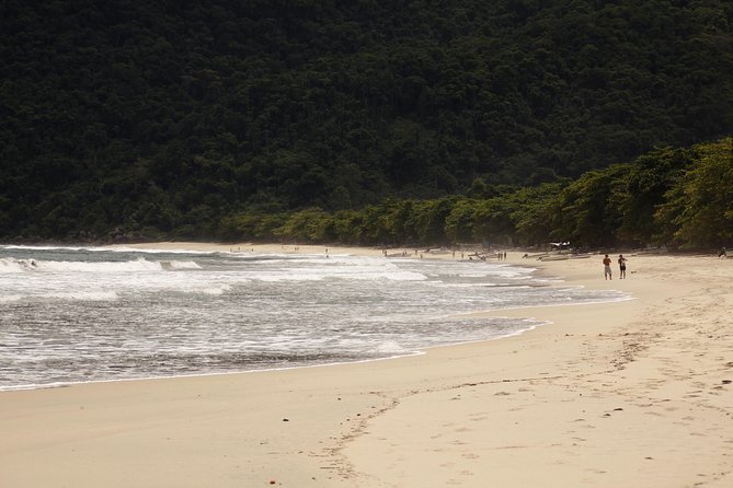 Paraty Rainforest Trek and Secluded Sono Beach Tour - Highlights of the Trek
