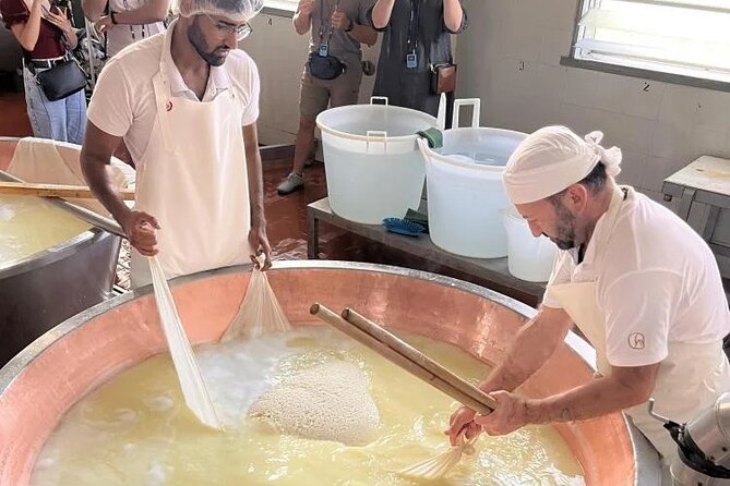 Parmigiano Cheese Factory Visit and Tasting - Observing the Cheese-Making Process