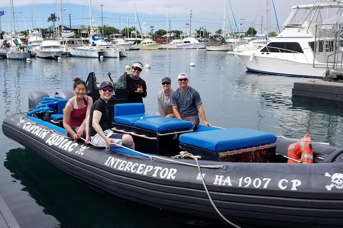 Pelagic Wildlife Excursion - Zodiac Boat Experiences