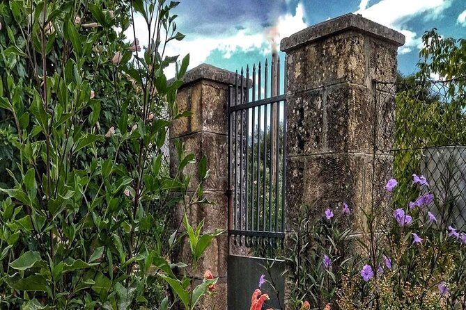 Pelion Villages Small Group Tour: Pinakates, Vizitsa & Milies - Exploring Pinakates: Charming Architecture