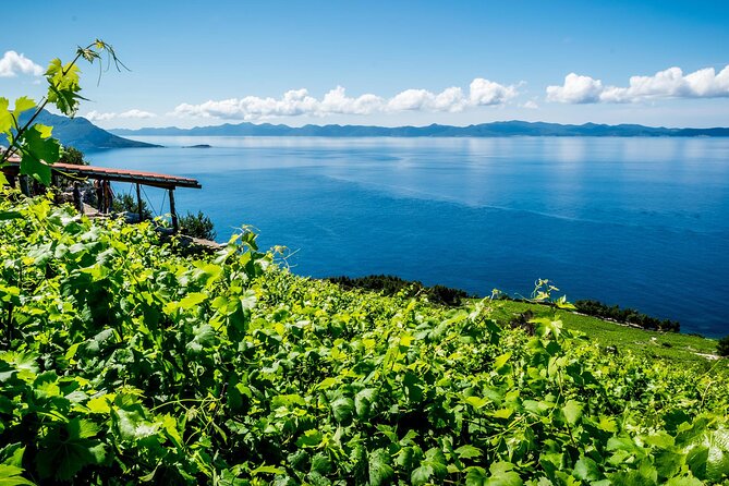 PelješAc Gourmet & Wine Tour - Winetasting and Food Pairing