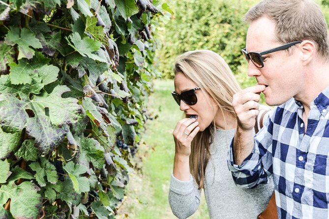 Personalized Wine and Food Experiences in Alba - Customized Tour Packages