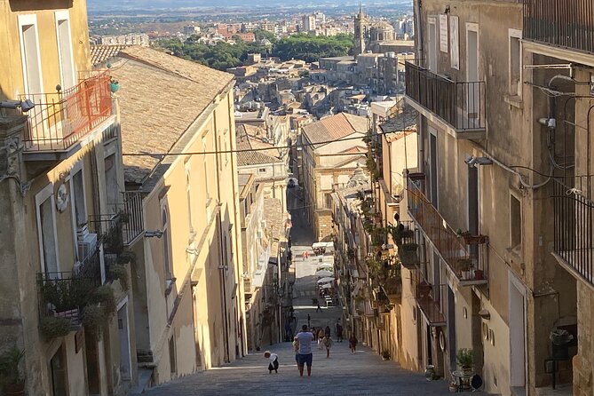 Piazza Armerina and Caltagirone Private Tour From Catania – Sicily - Accessibility and Participation