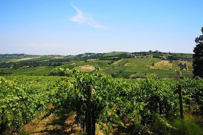 Picnic, Visit and Tasting - Inclusions and Exclusions