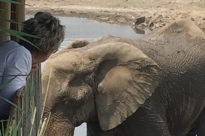 Pilanesberg National Park Safari in Open Vehicle From Johannesburg - Inclusions and Amenities
