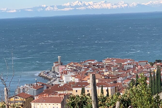 Piran & Panoramic Slovenian Coast Tour (Up to 8 Persons) - Exploring Pirans Venetian Architecture