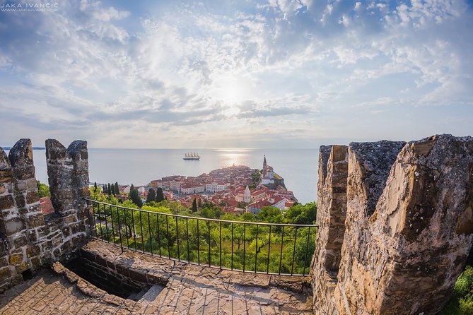 Piran Wine & Food Walking Tour (private V.i.p. Tour) - Meeting and Pickup