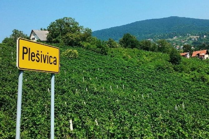 Plesivica Region Wine Tasting Half-day Tour - Highlights of the Region