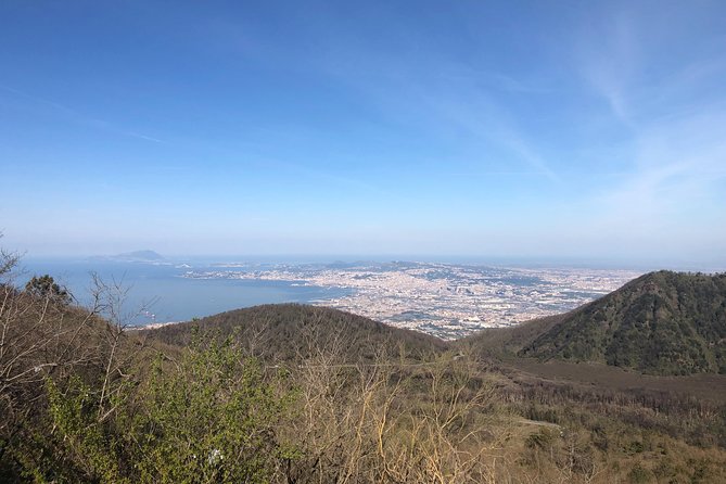 Pompeii-Herculaneum-Vesuvius Tour From Sorrento With Licensed Guide Included - Traveler Feedback