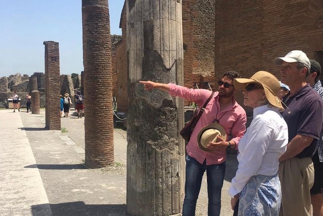 Pompeii & Herculaneum With Driver and Expert Guide - Accessibility Features