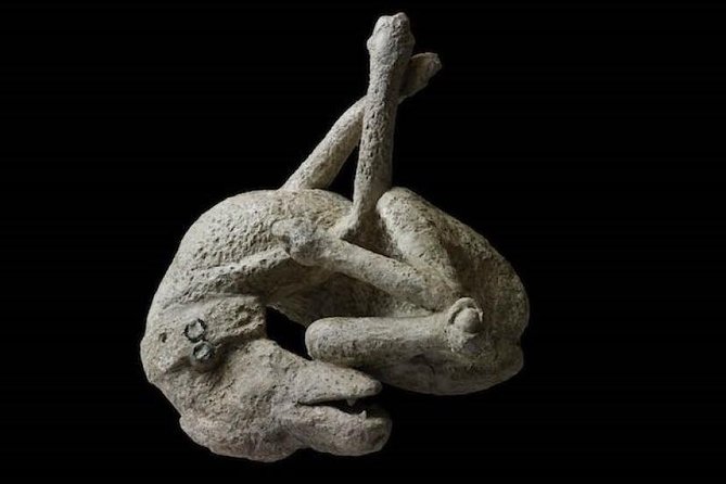 Pompeii: Living With the Volcano - Guide Service and Inclusions